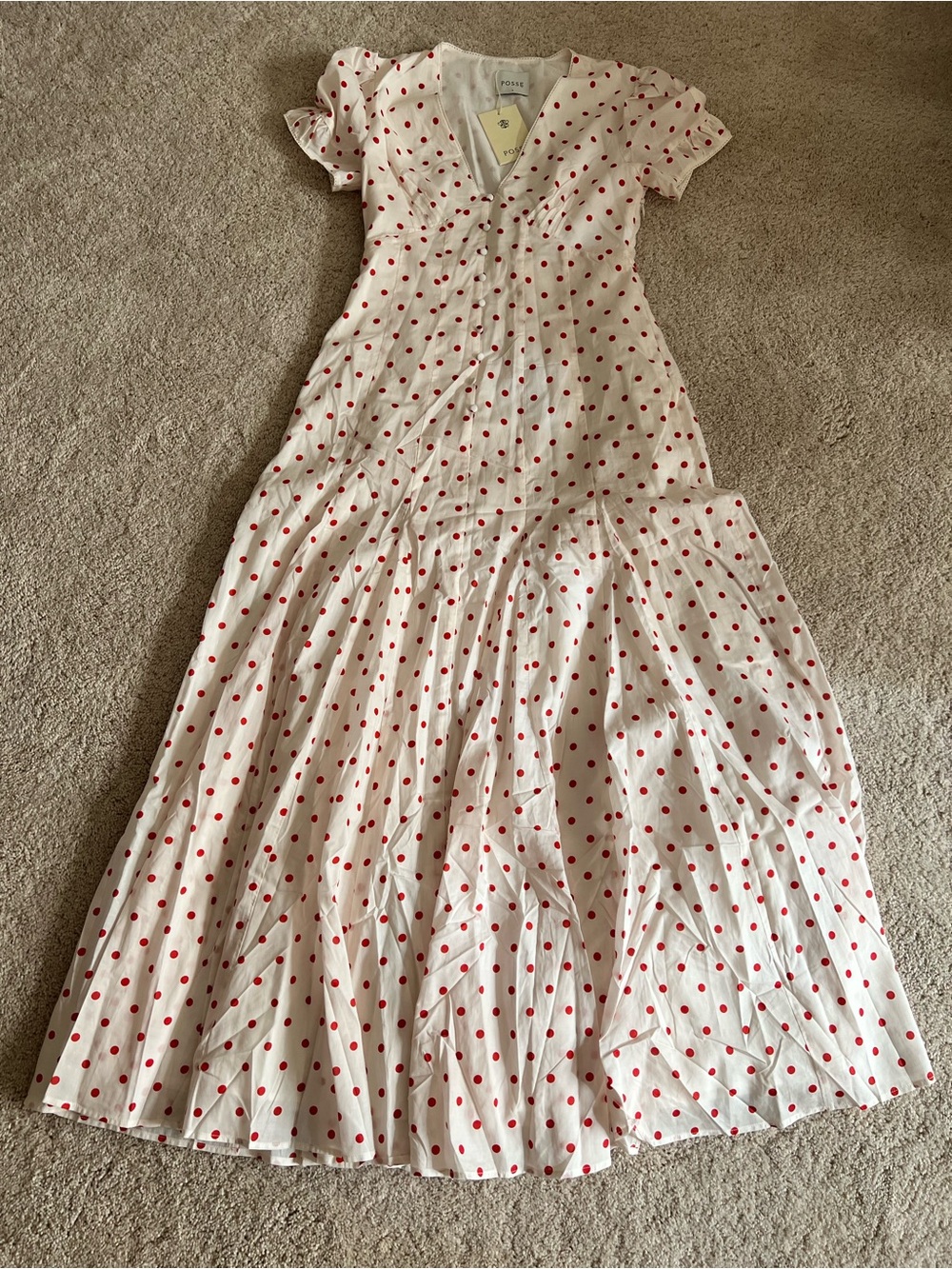 Posse Paloma Maxi Midi Dress in Petite Polka Dot